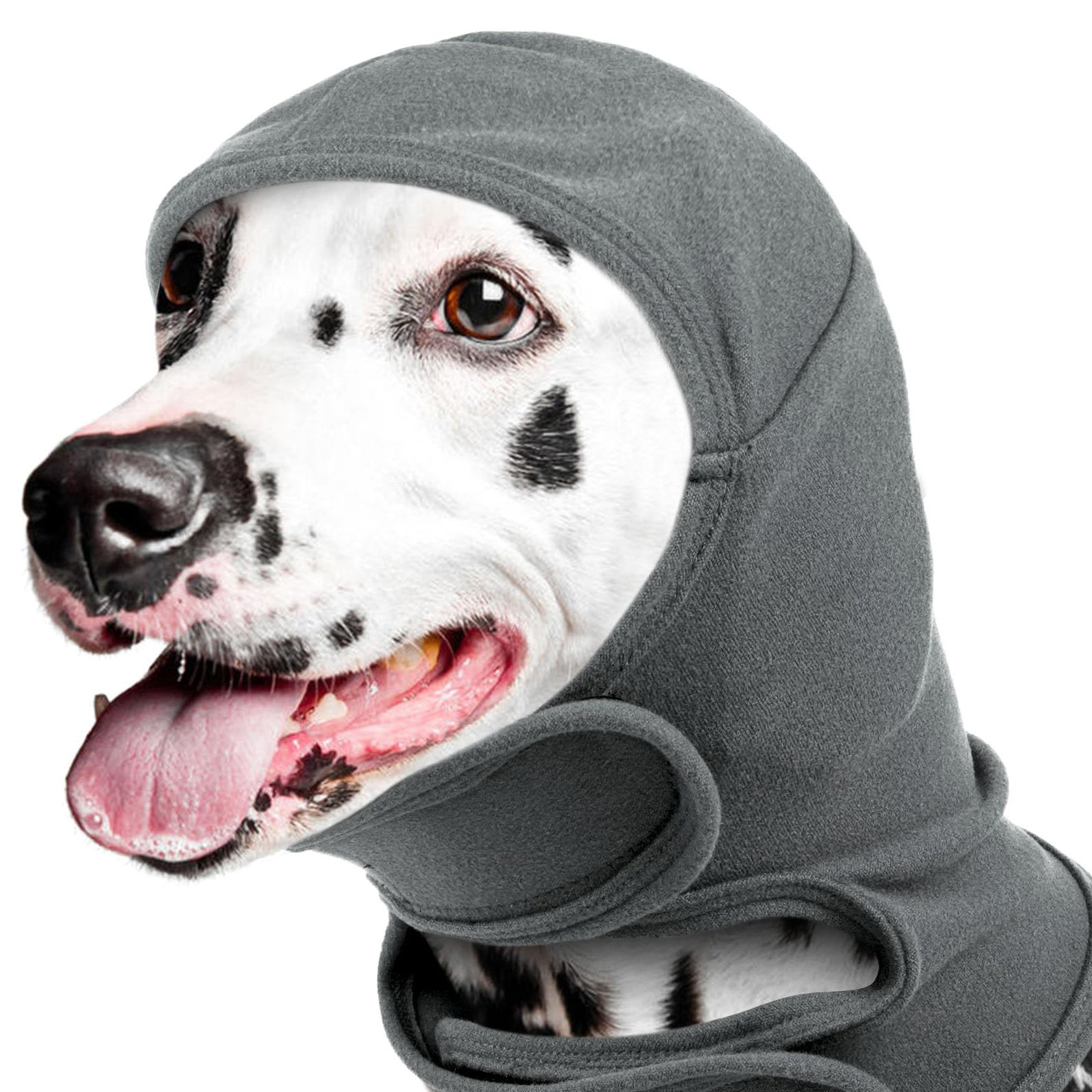 Perro con la capucha antiruido BIMBEA puesta, se ve el cierre de velcro en el cuello