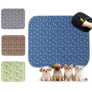 Tapete entrenador para perro, pipí