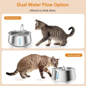 Bebedero de agua para perro y gato